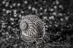 Dots, dots, only dots ... in bw by Marco Gargiulo 